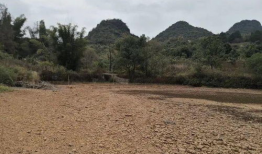 青草视频网站,探索无限精彩，畅享视听盛宴